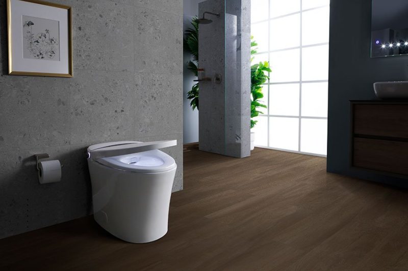 Sanitario Inteligente Neuren